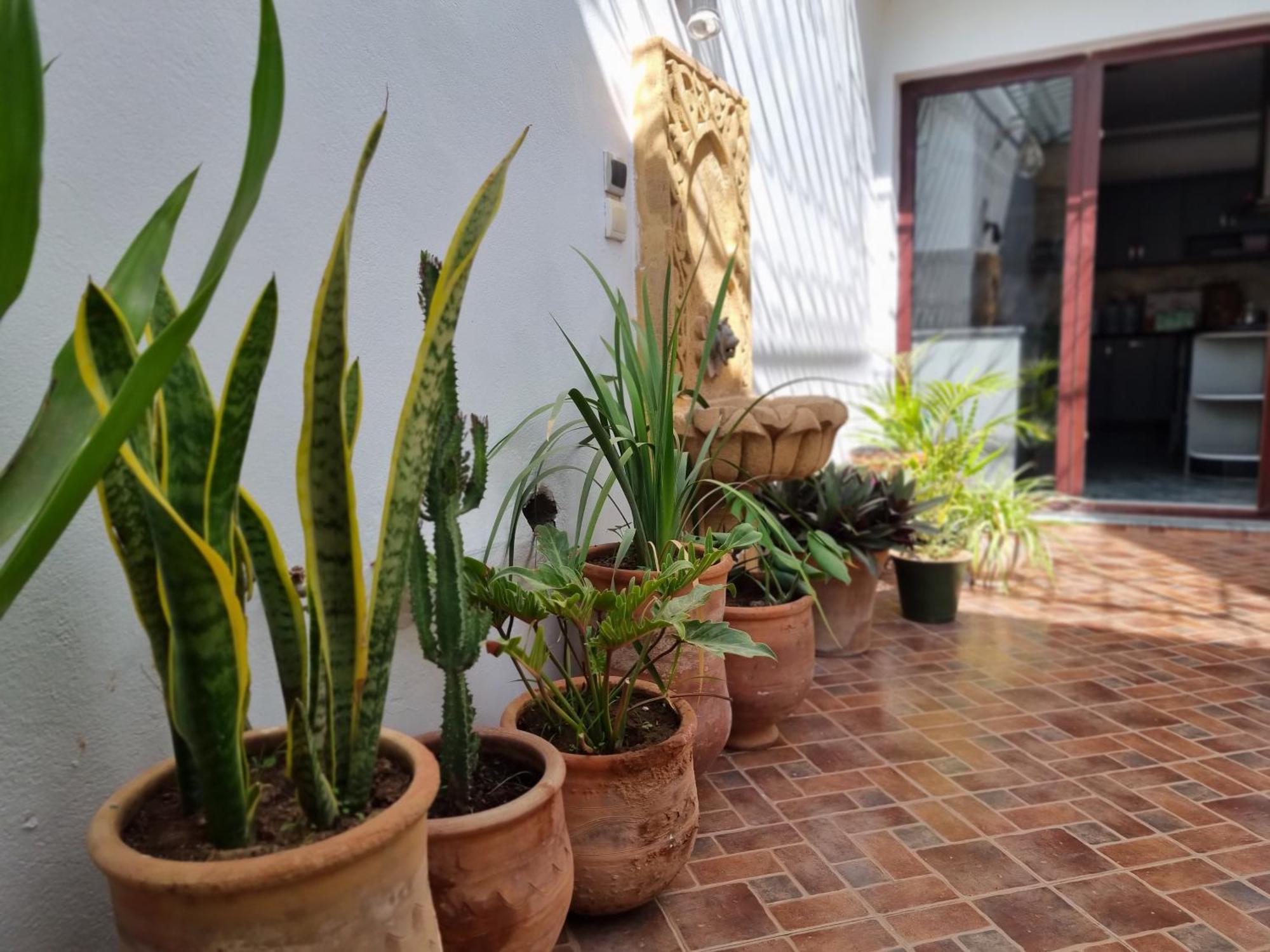 Riad Searenity Tamraght Kültér fotó